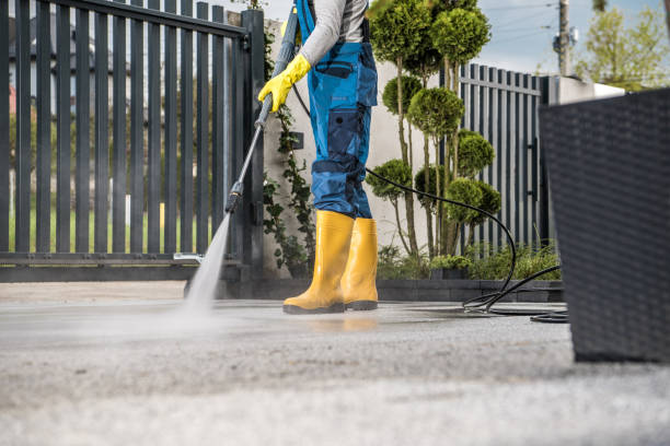 Best Vinyl Siding Pressure Washing in Gonzales, TX